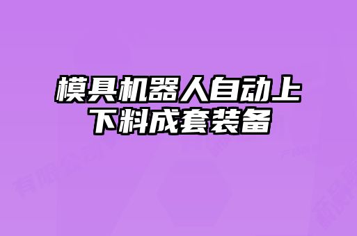 模具機器人自動(dòng)上下料成套裝備
