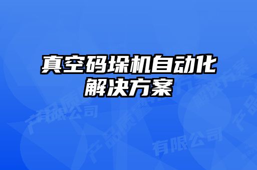 真空碼垛機自動(dòng)化解決方案