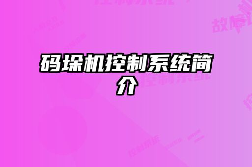 碼垛機控制系統簡(jiǎn)介