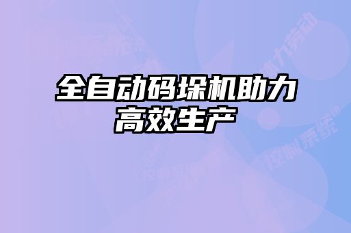 全自動(dòng)碼垛機助力高效生產(chǎn)