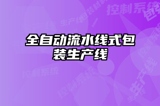 全自動(dòng)流水線(xiàn)式包裝生產(chǎn)線(xiàn)
