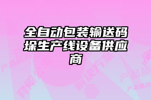 全自動(dòng)包裝輸送碼垛生產(chǎn)線(xiàn)設備供應商