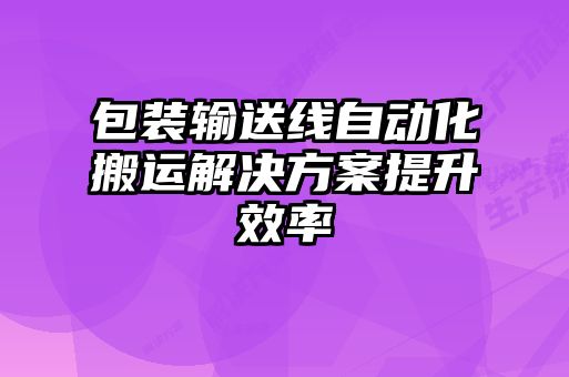 包裝輸送線(xiàn)自動(dòng)化搬運解決方案提升效率