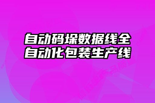 自動(dòng)碼垛數據線(xiàn)全自動(dòng)化包裝生產(chǎn)線(xiàn)