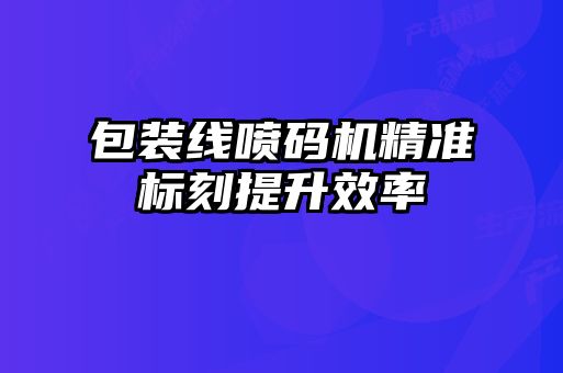 包裝線(xiàn)噴碼機精準標刻提升效率