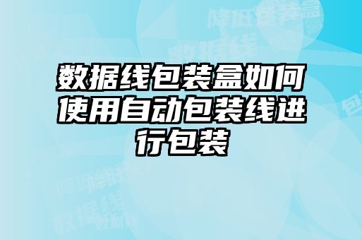 數據線(xiàn)包裝盒如何使用自動(dòng)包裝線(xiàn)進(jìn)行包裝