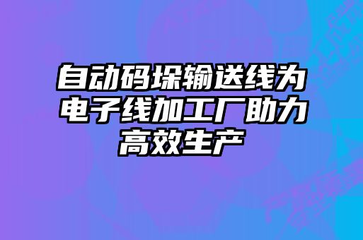 自動(dòng)碼垛輸送線(xiàn)為電子線(xiàn)加工廠(chǎng)助力高效生產(chǎn)