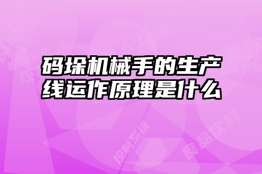 碼垛機械手的生產(chǎn)線(xiàn)運作原理是什么