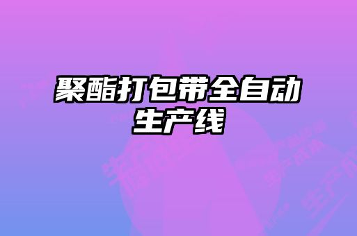 聚酯打包帶全自動(dòng)生產(chǎn)線(xiàn)