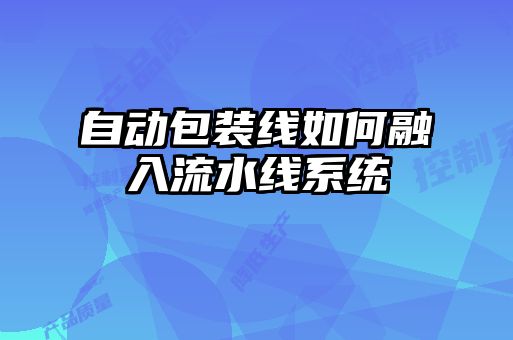 自動(dòng)包裝線(xiàn)如何融入流水線(xiàn)系統