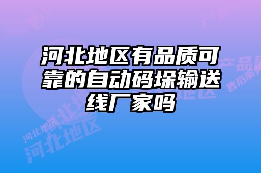 河北地區有品質(zhì)可靠的自動(dòng)碼垛輸送線(xiàn)廠(chǎng)家嗎
