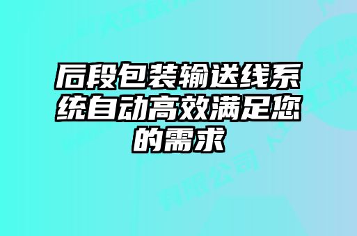 后段包裝輸送線(xiàn)系統自動(dòng)高效滿(mǎn)足您的需求