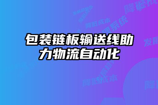 包裝鏈板輸送線(xiàn)助力物流自動(dòng)化