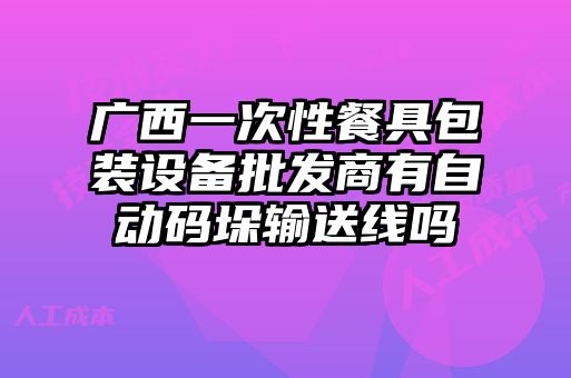 廣西一次性餐具包裝設備批發(fā)商有自動(dòng)碼垛輸送線(xiàn)嗎
