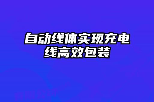 自動(dòng)線(xiàn)體實(shí)現充電線(xiàn)高效包裝