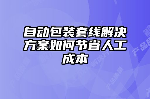 自動(dòng)包裝套線(xiàn)解決方案如何節省人工成本